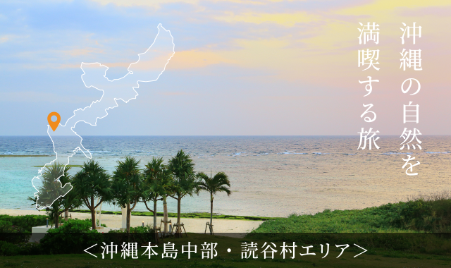 美ら海の海・星空・グルメを楽しむ旅 沖縄本島北部・本部町エリア