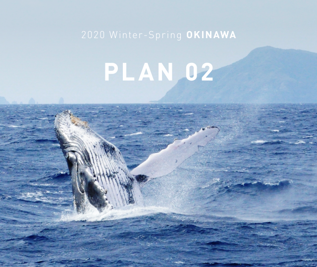 2020 winter-spring OKINAWA PLAN02